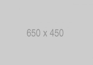 650x450